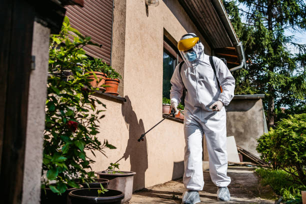 Best Local Pest Control Services  in White Marsh, MD