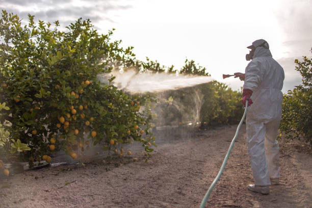 Best Insect Control  in White Marsh, MD
