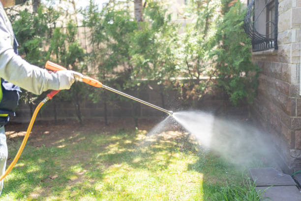 Best Pest Control Near Me in White Marsh, MD