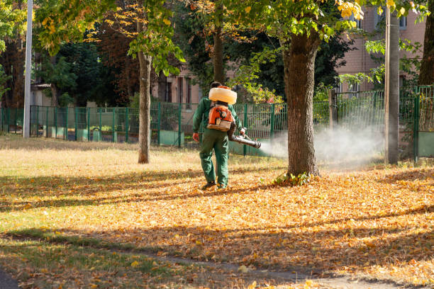 Best Best Pest Control Companies  in White Marsh, MD