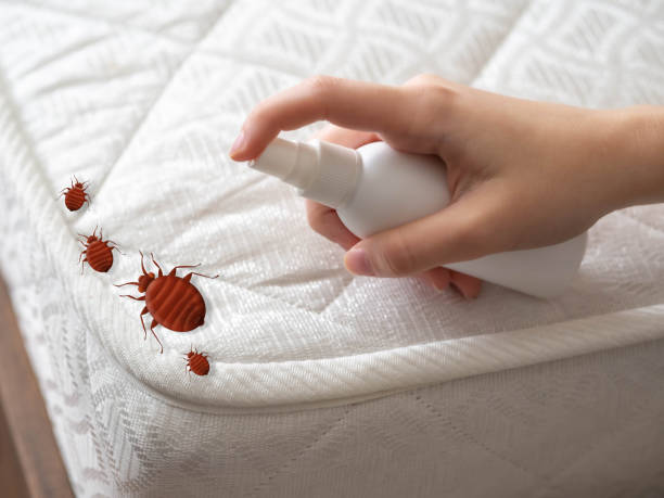 Best Bed Bug Extermination  in White Marsh, MD