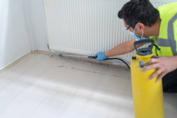 Best Ant Control Services  in White Marsh, MD