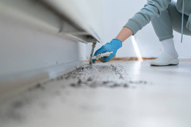 Best Termite Control Services  in White Marsh, MD